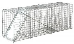 Little Giant Single Door Live Animal Trap (25