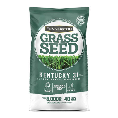 Pennington Kentucky 31 Tall Fescue Grass Seed